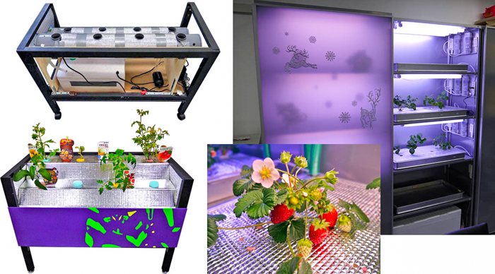 High tech hydroponics