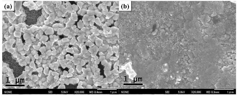 figure1