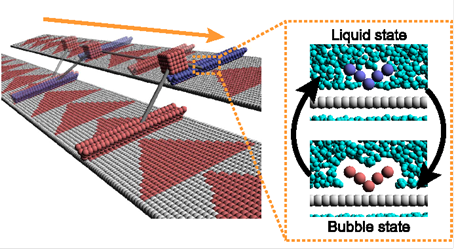 Molecular motors