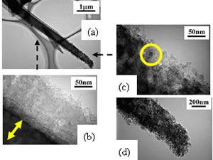 Silicon nanophotonics