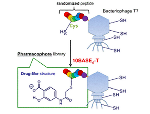 Pharmacophores