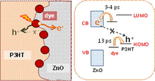 Hybrid solar cells