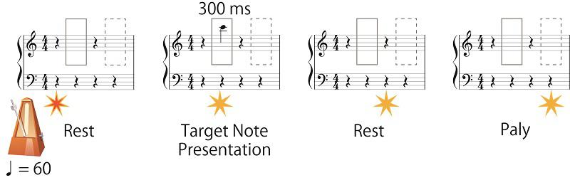 Figure 2: Experimental procedure in one trial.