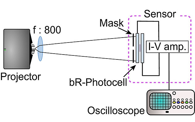 Experimental set-up of the bR photocell using different patterned masks.