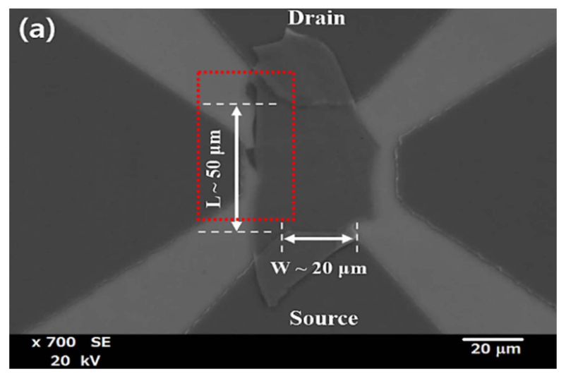 Scanning electron microscopy image of the near-infrared photodetector based on few-layered MoSe2. 