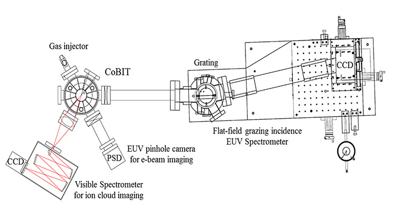 Schematic drawing of the experimental system used in this study.