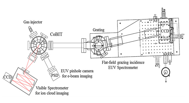 Schematic drawing of the experimental system used in this study. 