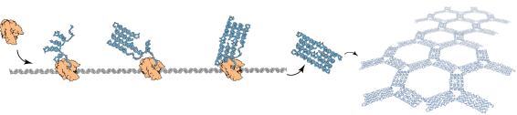 Self Assembly