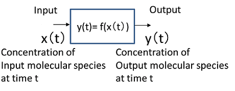 Fig. 2 Time-Responsive Analog Computation