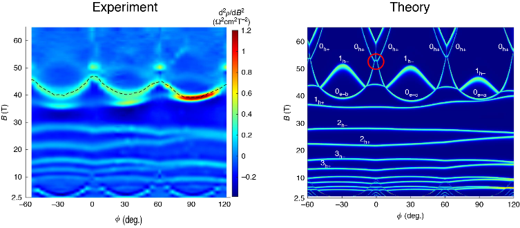 Angle resolved magnetoresistance of bismuth.