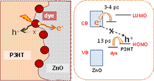 The Mechanism of dyeing for greater efficiency