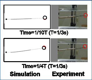 Analyzing the propulsion of a soft robotic fish