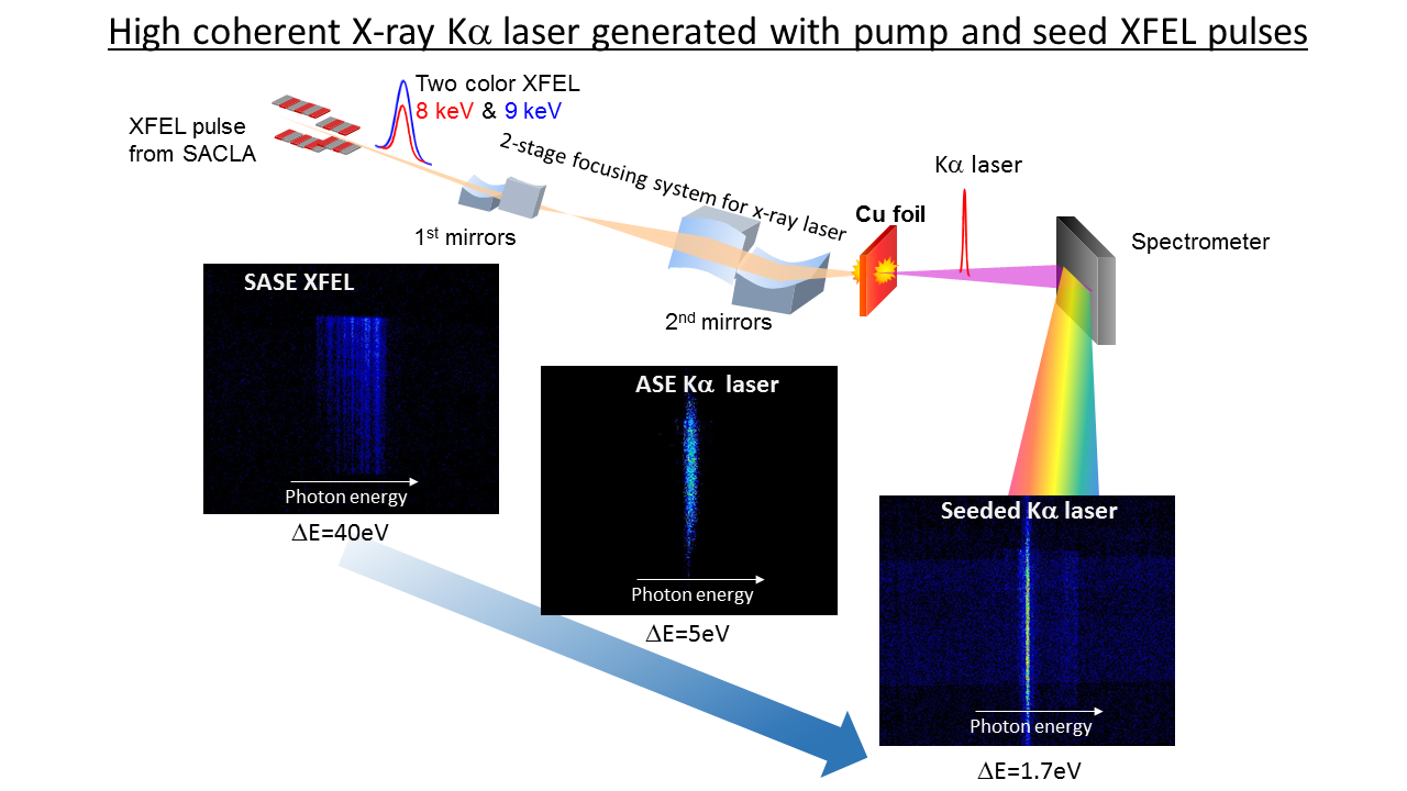 X-ray