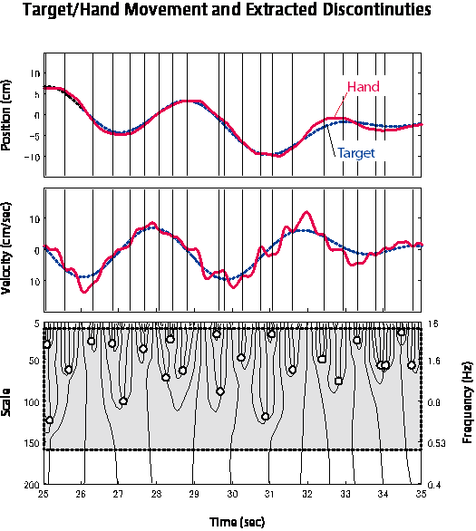 Motor behaviour