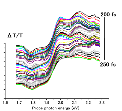 A career in ultrashort pulse lasers, ultrafast spectroscopy, and quantum information