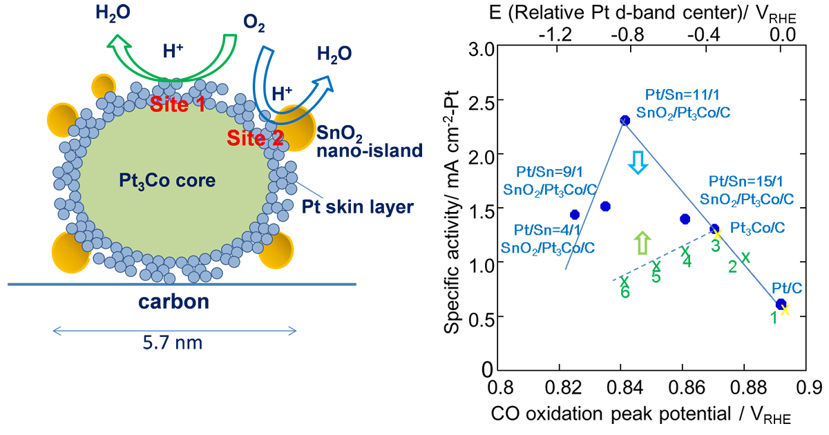 Polymer electrolyte fuel cells