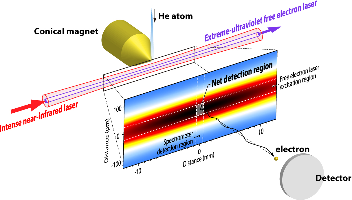 Observation of femtosecond two photon Rabi oscillations in helium