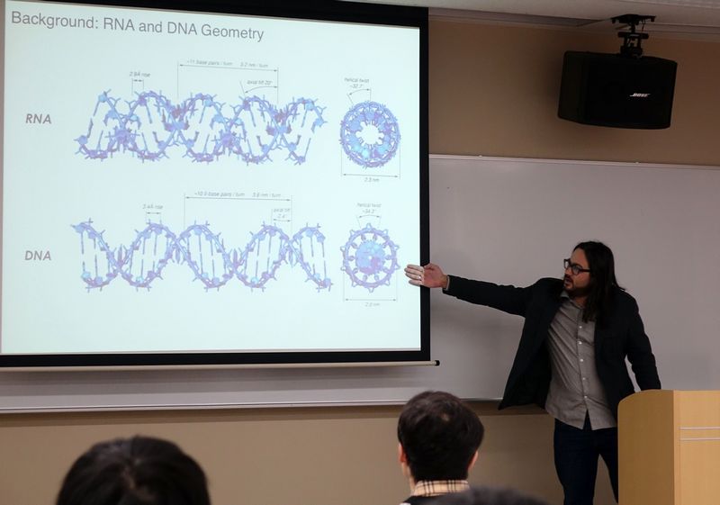 RNA origami for building biomolecular factories within living cells