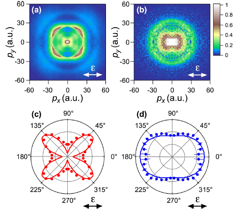 Tunnelling ionization studies