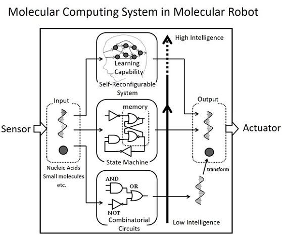 Innovative molecular robotics: Chemical reaction circuits for intelligent molecular robots