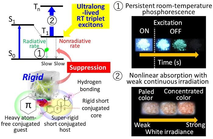 Molecular materials with ultralong-lived room-temperature triplet excitons: Persistent room-temperature phosphorescence and nonlinear optical characteristics under continuous irradiance