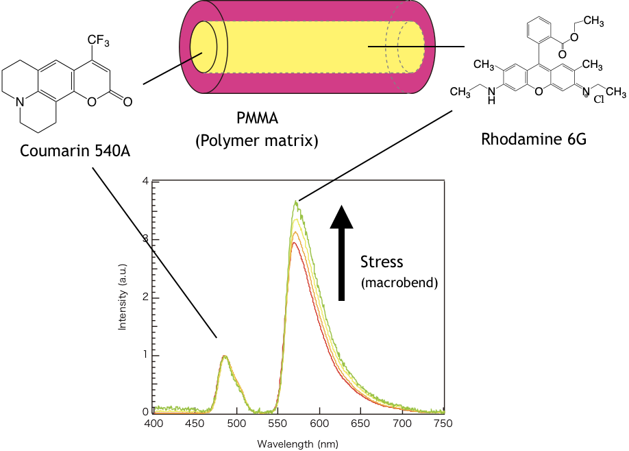 Polymer-based optical fiber for visualization of stress